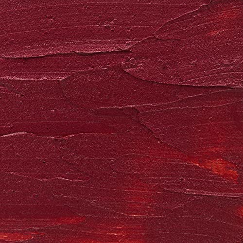 Moroccan Magic Plum Berry Tinted Lip Balm | Made with Natural Cold Pressed Argan and Essential Oils | Lip Balm | Smooth Application | Non-Toxic, Cruelty Free | 2 Pack