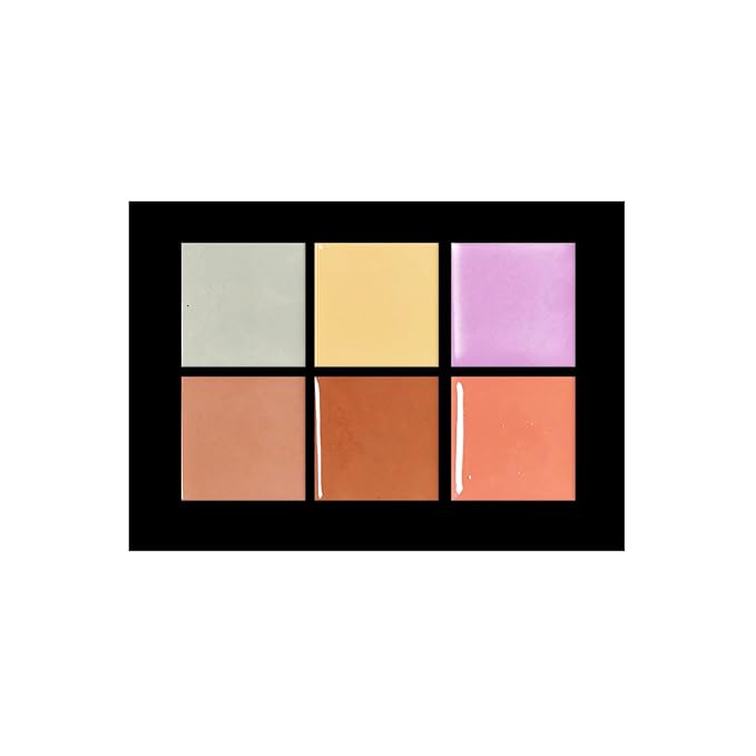 Profusion Cosmetics Studio Corrector Palette for Radiant, Even Skin Tone, Raise Your Makeup Routine and Reduce Redness, Dark Circles, and Other Imperfections to Achieve Flawless Skin