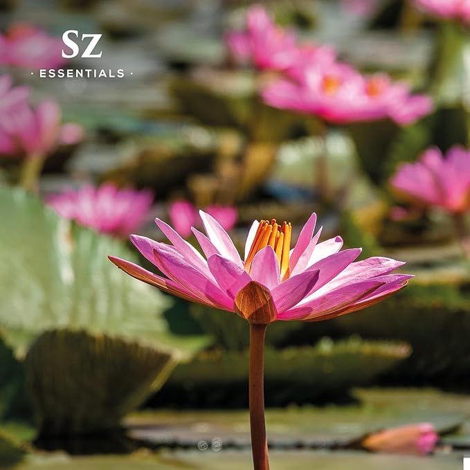 Pink Lotus 100% Pure, Essential Natural Oil - Extracted from Nymphaea Nucifera - Divine & Sweet Scent, with Exotic Floral Overtones - Therapeutic Grade & Vegan - 0.17oz (5ml)