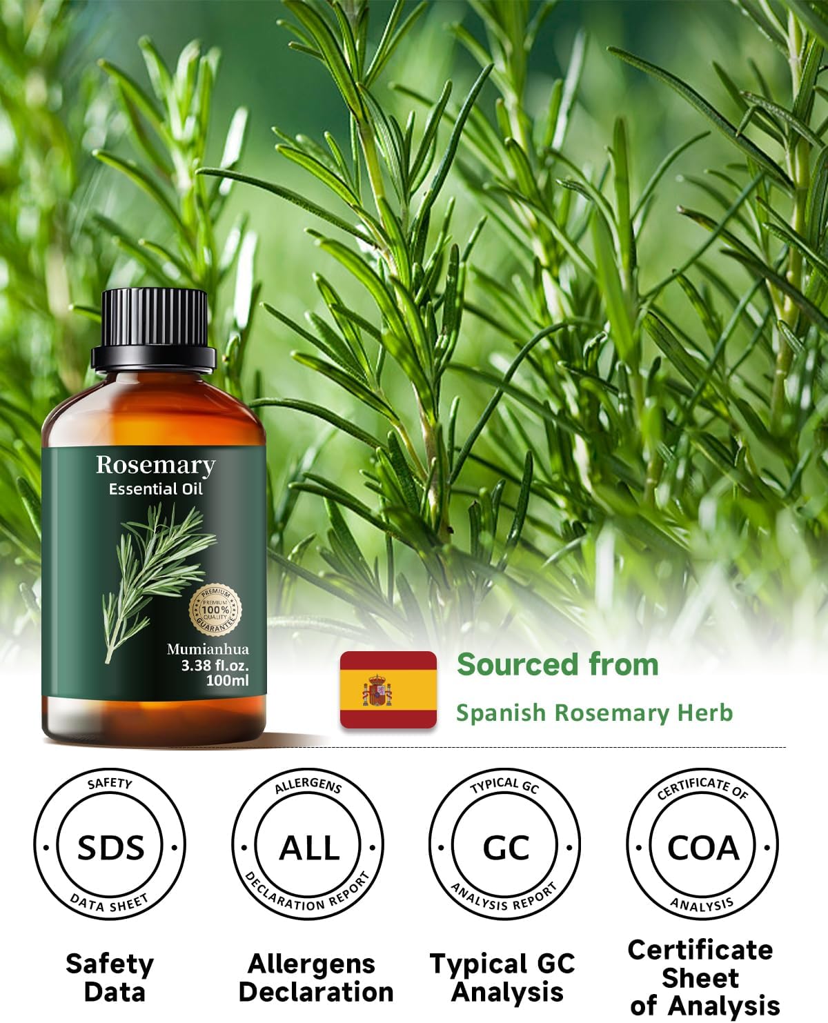 Rosemary Essential Oil Pure Mumianhua Natural Rosemary Oil for Diffuser, Aromatherapy, Cleansing, Scalp,Hair, Skin, Soap Making 3.38 Fl Oz