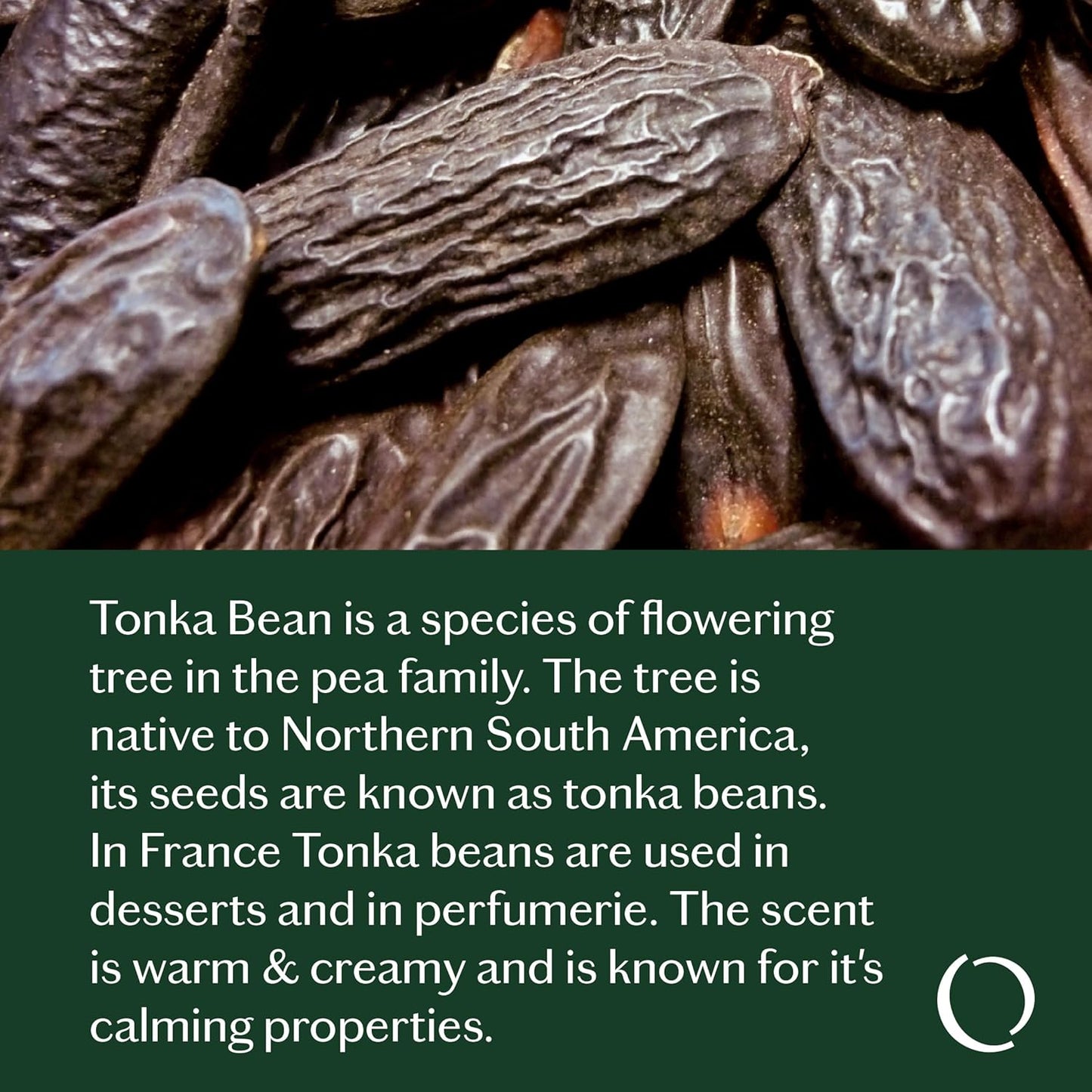 LIVEDROPS 24/7 Sleep Good Essential Oil Blend - Crafted in France - Lavender & Rose - Pure & Natural - Aromatherapy - Skin Safe & Diffuser Compatible - Clinically Tested