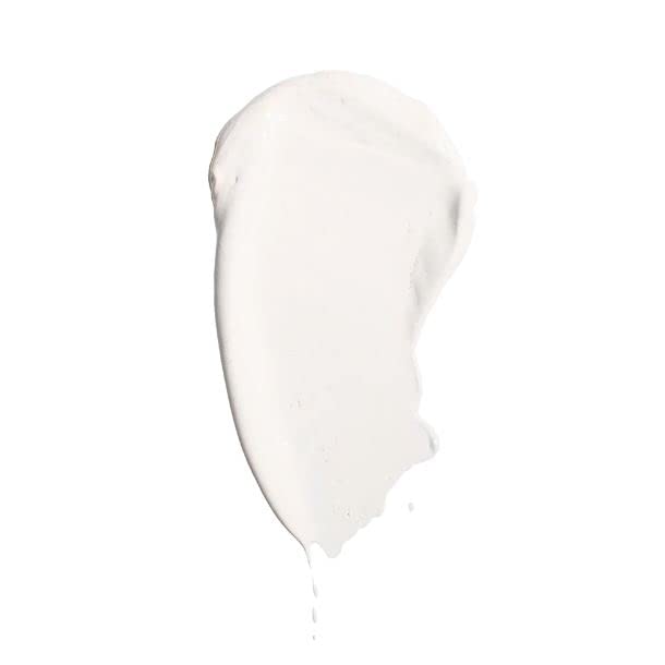 Jerome Alexander My Color Self Adjusting Full Coverage Foundation Makeup with Kabuki Brush (Light)