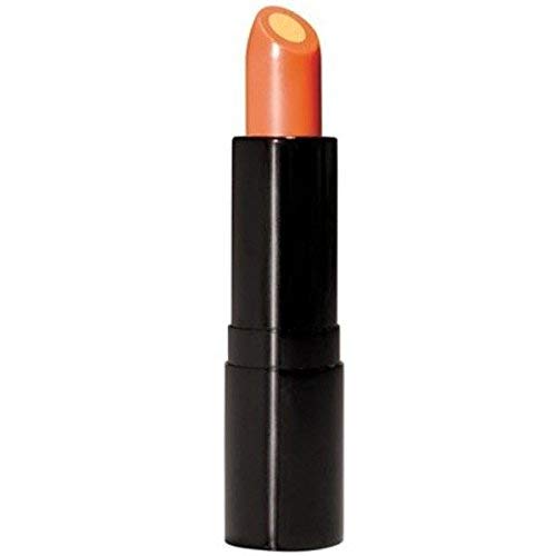Vitamin C Lip Treatment - Lip Balm Wrapped Around a Conditioning Core of Vitamin E That Smoothes, Soothes and Helps Prevent Dryness and Chapping