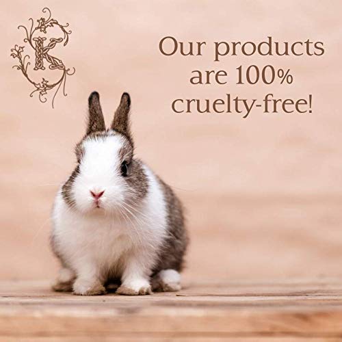 Shelley Kyle Lorelei Mini Gift Set, Includes Travel Size Perfume, Lotion, and Shower Gel, Packaged in Beautiful Cream and Gold Gift Box with Ribbon