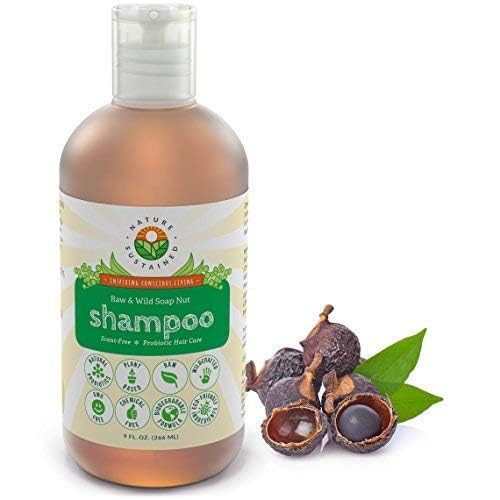 Natural Shampoo - Organic, Raw & Wildcrafted with Probiotics, Hypoallergenic Natural & Sulfate Free Shampoo for Sensitive Scalp, Dry Hair, Dandruff, Eczema & Psoriasis, 9oz, Original