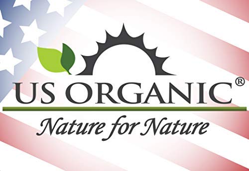 US Organic Rosemary Essential Oil – USDA Certified, 100% Pure, 10ml