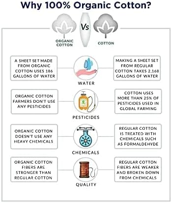 Lane Linen 100% Organic Cotton King Size Pillow Cases Set of 2 (20''x36'') Pillow Cases King Size Certified Organic Cotton Pillowcases King Pillow Case Set of 2 Sage Green Pillow Cases Mineral