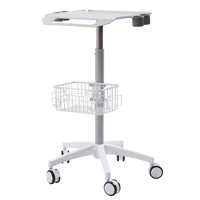 Iron Salon Instrument Tray, Height Adjustable Trolley Cart Tray Station on Wheels for Salon Tattoo Spa Beauty Service Holder Tool Storage(White,Iron)
