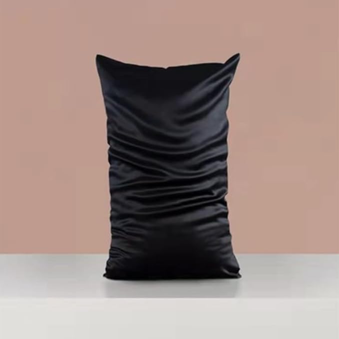 Hypoallergenic Pillow Case Made in USA, Premium Black Silk Pillow Cases, 6A Grade 22 Momme Pure Silk Pillowcase, Zipper Closure, Machine Washable, 1 Pc 20"x30" (Queen, Black)