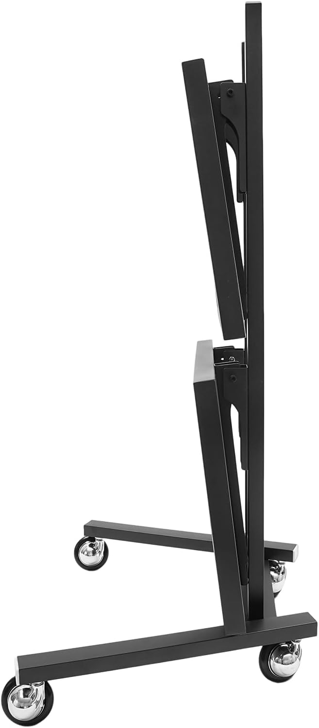 Hairstylist Trolley Cart with Wheels, 2 Tier Salon Tray Cart with Storage Platform, Stainless Steel Salon Service Station Hair Color Tray, Mobile Hairdressing Trolley for Spa Home Use (Black)