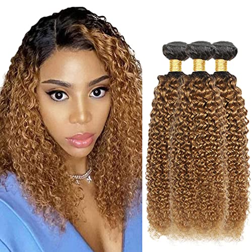 1B27 Bundles Human Hair Ombre Blonde Kinky Curly Bundle Virgin Remy Hair 3 Bundles 14 16 18 Inch Niegmeag Double Weft Soft and Silky 2 Tone Black and Honey Blonde Bundle 300g
