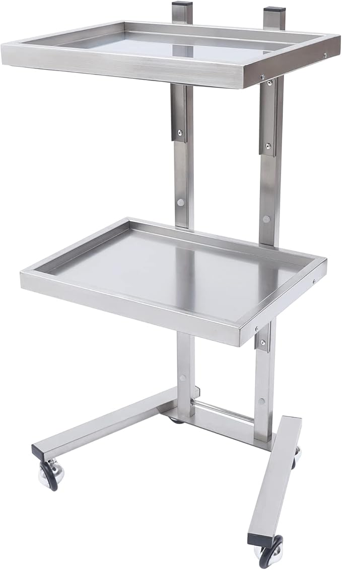 2 Tier Foldable Tray Trolley, Stainless Steel Salon Storage Metal Rolling Cart Mobile Hairdressing Tool Organizer with Wheels for Hair Salon, Studios, Spa Salons (Silver)
