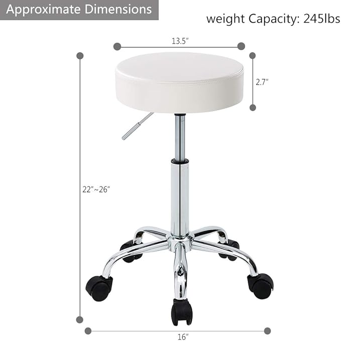 DUHOME 410 Height Adjustable Swivel Rolling Chair Massage Medical Clinic Tattoo Spa Salon Stool with Wheels (White)