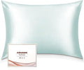 Adubor 100% Silk Pillowcase - Mulberry Silk Pillow Cases, 23 Momme 6A Grade Fibers, Silk Pillow Case for Hair and Skin Health, with Hidden Zipper (Queen 20''x30'', Light Green, 1PC)