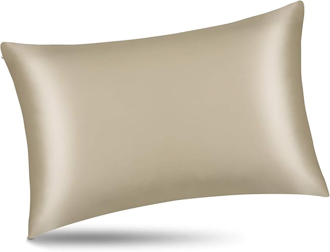 ALASKA BEAR Silk Pillowcase for Hair and Skin, Set of 2 Pure Genuine 22 Momme Mulberry Silk Pillow Cases King Size for Bliss Sleep Better Than Poly Satin, Zipper Closure(2pc, Beige)