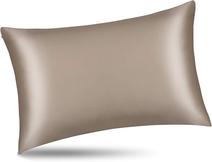 ALASKA BEAR Silk Pillowcase for Hair and Skin, Set of 2 Pure Genuine 22 Momme Mulberry Silk Pillow Cases Queen Size for Bliss Sleep Better Than Poly Satin, Zipper Closure(2pc, Taupe)