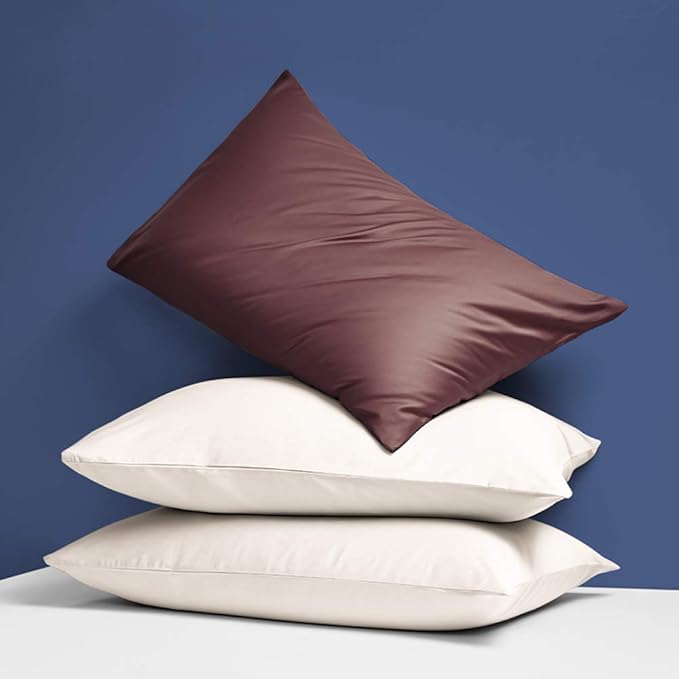 NTBAY Zippered Satin Pillow Cases for Hair and Skin, Luxury Queen Hidden Zipper Pillowcases Set of 2, 20x30 Inches, Dark Brown