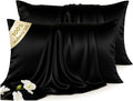 Set of 2 100% Silk Pillow Cases Queen - 6A Luxury Mulberry Silk Pillowcase for Hair and Skin - Anti-Wrinkle, Cooling & Smooth, Hidden Zipper - Pillowcases for Sleeping Women Girl, Boy, Black