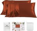 PROMEED 23 Momme Silk Pillowcase 2 Pack with Zipper, 3rd Gen Grade 6A+ 100% Mulberry Silk Pillow Case Set of 2, Cooling Pillow Cases for Hot Sleepers (Queen 20"x30", Dusk)