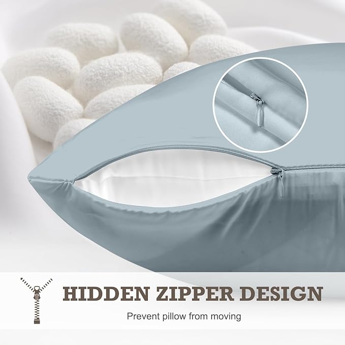 100% Mulberry Silk Pillowcase 2 Pack,Standard Size Silk Pillow Cases for Hair and Skin,Silky Smooth Bed Pillow Cover with Hidden Zipper,Natural Silk Pillow Case Set of 2 (Ash Blue, Standard 20X26)