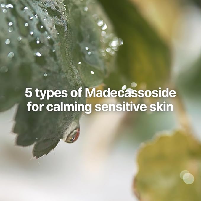 Pyunkang Yul PKY Calming Skincare Gift Set with Premium Gift Wrapping, Instantly Calms Sensitive Skin,vegan, Korean Skincare (3-item set)