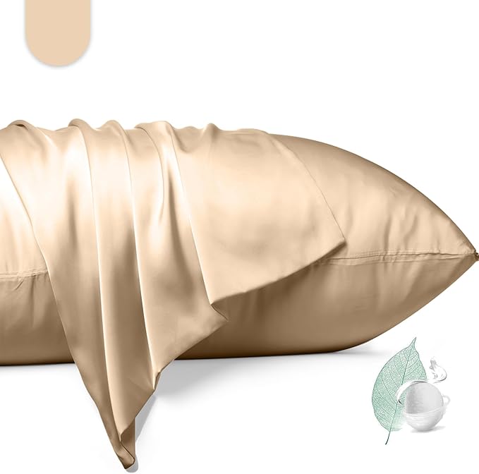 100% Mulberry Silk Pillowcase 2 Pack,Standard Size Silk Pillow Cases for Hair and Skin,Silky Smooth Bed Pillow Cover with Hidden Zipper,Natural Silk Pillow Case Set of 2 (Champagne, Standard 20X26)