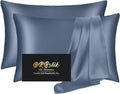 Silk Pillow Cases 2 Pack, Mulberry Silk Pillowcases Standard Set of 2, Soft, Smooth, Anti Acne, Beauty Sleep, Both Sides Natural Silk Satin Pillow Cases for Women 2 Pack with Zipper for Gift, Ash Blue