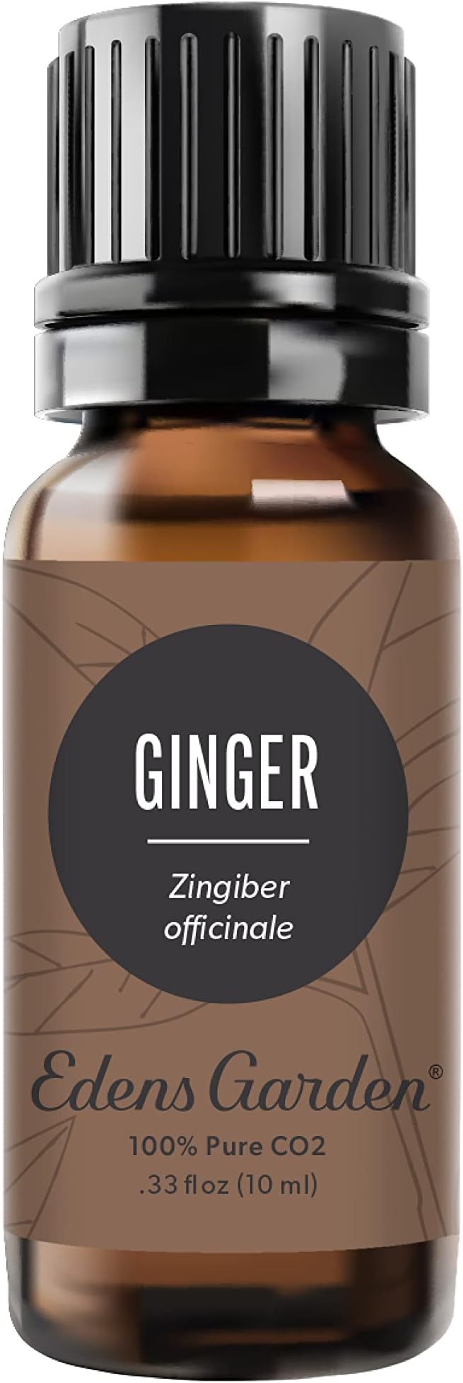 Edens Garden Ginger CO2 Essential Oil- 100% Pure Premium Grade, Undiluted, Natural, Therapeutic, Aromatherapy, The Best for Diffuser, Candle, Laundry, Humidifiers 10 ml (.33 fl oz)
