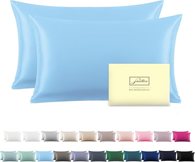 Silk Pillow Cases 2 Pack Soft Breathable and Sliky Standard Size Pillow Cases Set of 2,Natural Mulberry Satin Silk Pillowcase with Hidden Zipper for Hair and Skin (Sky Blue,20"X 26",2pcs)