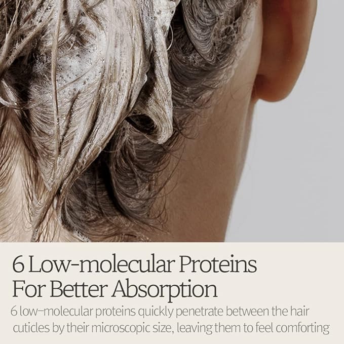 Bouquet Garni NARD Hair Shampoo Lavender Musk - Scalp Vitality, and Soft Cleansing (Containing Argan Olive Jojoba Macadamia Sunflower Oil, Protein, and Amino Acids) - 16.9 oz