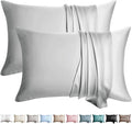 100% Silk Pillow Cases 2 Pack King Size Mulberry Silk Pillowcase for Hair and Skin Set of 2 Highest Grade 6A Silk Soft Breathable Cooling with Hidden Zipper, Light Grey
