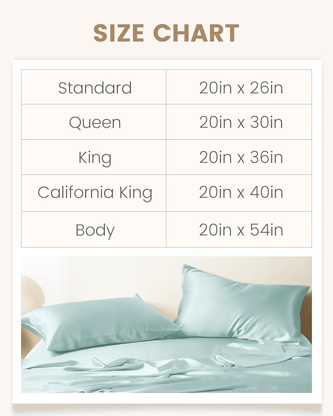 THXSILK Set of 2 100% Mulberry Silk Pillowcase for Hair and Skin Health, Soft Breathable and Smooth Pillowcases with Hidden Zipper, Both Sides Premium Grade 6A+ Silk, Standard 20"x26", Light Blue