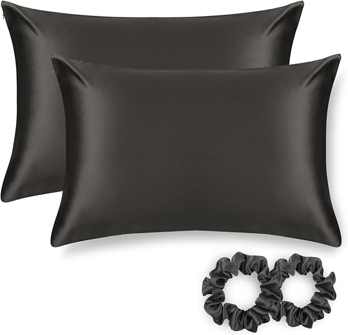 ALASKA BEAR Silk Pillowcase for Hair and Skin, Set of 2 Pure Genuine 22 Momme Mulberry Silk Pillow Cases Standard Size for Bliss Sleep Better Than Poly Satin, Zipper Closure(2pc, Charcoal)