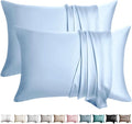 100% Silk Pillow Cases 2 Pack Queen Size Mulberry Silk Pillowcase for Hair and Skin Set of 2 Highest Grade 6A Silk Soft Breathable Cooling with Hidden Zipper, Sky Blue