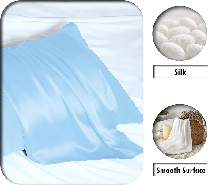 Silk Pillow Cases 2 Pack Soft Breathable and Sliky Queen Size Pillow Cases Set of 2,Natural Mulberry Satin Silk Pillowcase with Hidden Zipper for Hair and Skin (Sky Blue,20"X 30",2pcs)