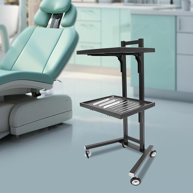 2 Tier Foldable Tray Trolley, Stainless Steel Salon Storage Metal Rolling Cart Mobile Hairdressing Tool Organizer with Wheels for Hair Salon, Studios, Spa Salons (Black)