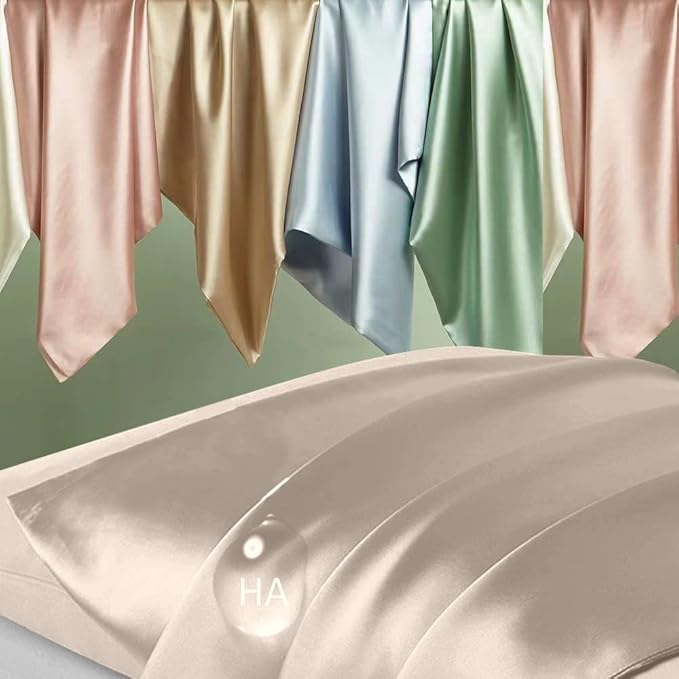 Silk Pillowcase 2 Pack, Mulberry Silk Pillow Cases Queen Size Set of 2, Anti Acne Silk Pillowcase for Hair and Skin, Natural Silk Satin Pillowcases Gifts for Women 2 Pack with Hidden Zipper, Champagne