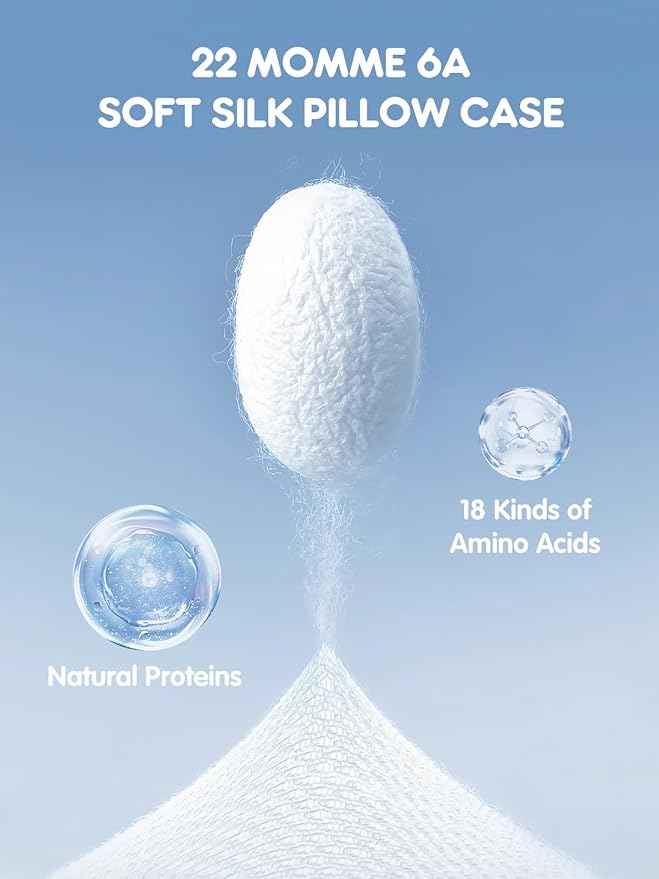Mulberry Silk Pillowcase for Hair and Skin, SGMSILK 22 Momme Natural Silk Pillow Cases with Zipper, 6A Soft and Smooth Single Sided Pure Silk Pillow Cover (White, Queen 20"x30")