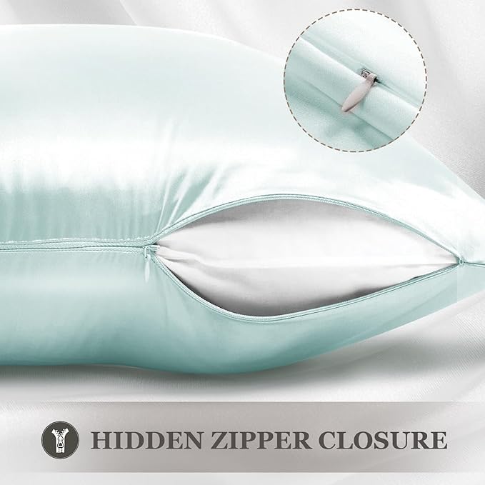 Adubor 100% Silk Pillowcase - Mulberry Silk Pillow Cases, 23 Momme 6A Grade Fibers, Silk Pillow Case for Hair and Skin Health, with Hidden Zipper (Standard 20''×26'', Light Green, 1PC)