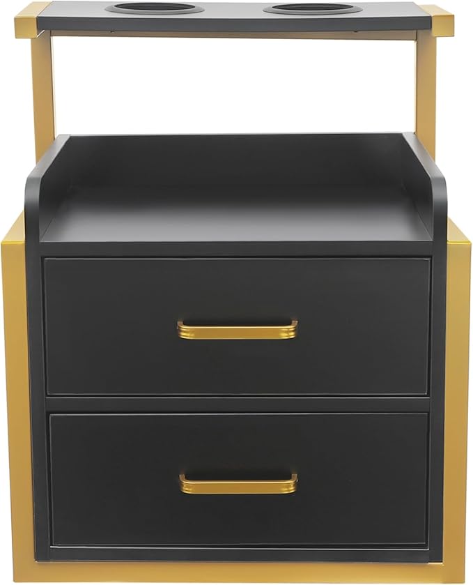 Suspended Salon Station for Hair Stylist, Wall Mounted Styling Salon Station Storage Cabinet w/2*Drawers &Hair Dryer Stand,Floating Nightstand Stylist Storage Cabinet for Home (Gold+Black)