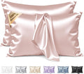 Silk Pillow Cases 2 Pack Standard Size Mulberry Silk Pillowcase Set of 2 for Hair & Skin 26 x 20 Inches 22 Momme Both Sided Grade 6A Silk Soft Breathable Cooling with Hidden Zipper, Pink