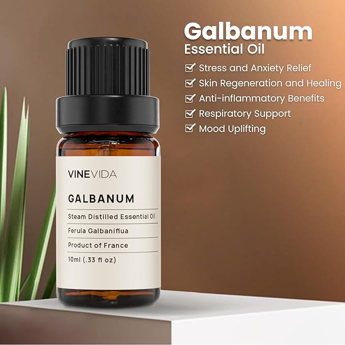 VINEVIDA Galbanum Essential Oil 10 mL - Undiluted Galbanum Oil 10 mL - Galbanum Candle Oil Scent - DIY Candle Scents for Candlemaking - 10 mL Essential Oil for Soap Making Safe for Skin