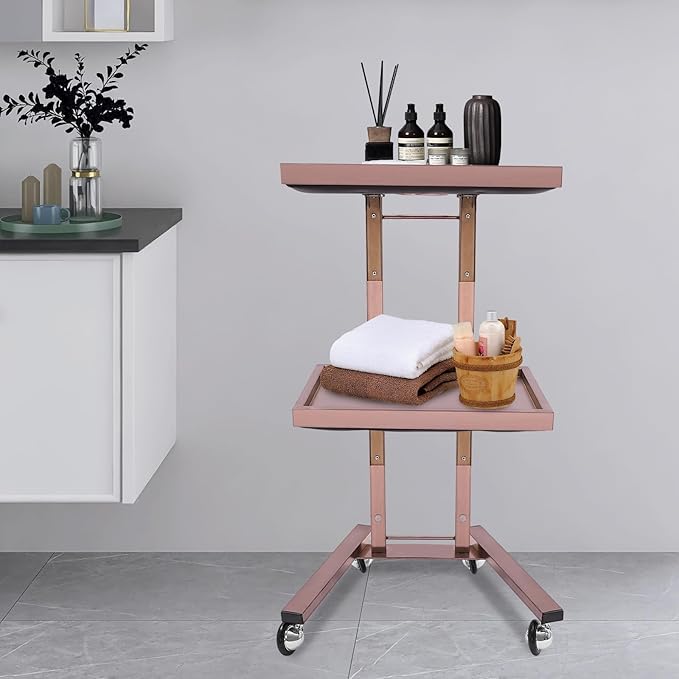 Hairstylist Trolley Cart with Wheels, 2 Tier Salon Tray Cart with Storage Platform, Stainless Steel Salon Service Station Hair Color Tray, Mobile Hairdressing Trolley for Spa Home Use (Rose-Gold)