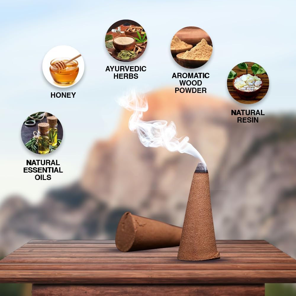 ARO VATIKA Vedic Dragons Blood Natural Masala 120 Incense Cones in Pack of 12 Boxes | Environment-Friendly Dhoop | Best for Prayer, Reiki, Meditation & Relaxation | Burn Time- 25 mins