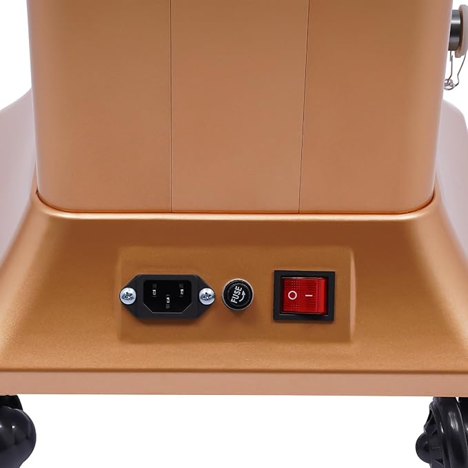 Nano Hair Steamer with 2 Vaporizing Caps, Standing Professional Micro Mist Hair Processor with Rolling Wheels, 650W 110V Nano Hair Steamer Machine, Multifunctional Hair Steamer for Hair Care (Gold)