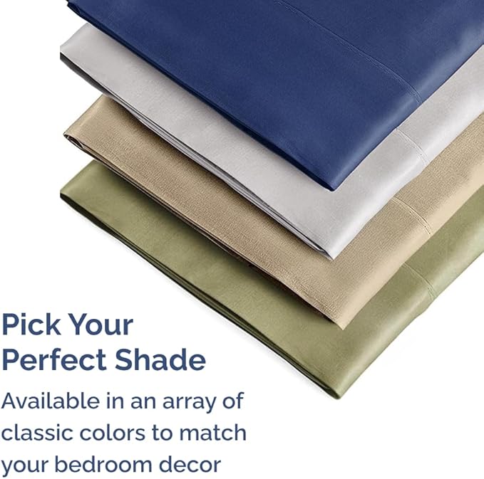 Queen Pillow Cases - 2 Pack - Super Soft Pillowcase Covers - Envelope Enclosure - Hotel Quality Pillow Protectors - Wrinkle Free, Shrink & Stain Resistant - Machine Washable - 20" x 30" (Steel Blue)