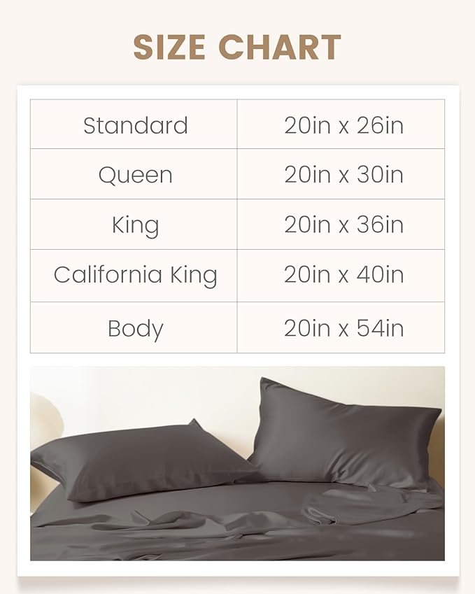 THXSILK Set of 2 Mulberry Silk Pillow Cases, 100% Mulberry Silk Pillowcase for Hair and Skin, 19 Momme Hypoallergenic Pillow Cover with Hidden Zipper (Dark Gray, Standard 20"x26")