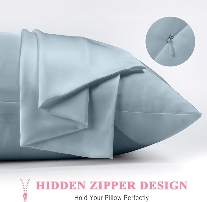 100% Pure Silk Pillowcase 2 Pack for Hair and Skin, Both Sides 23 Momme Grade 6A+ Mulberry Silk Pillowcases with Hidden Zipper, Soft&Smooth Cooling Pillow Cases (Ash Blue, Standard 20x26)