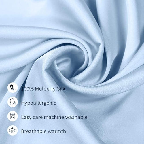 100% Mulberry Silk Pillowcases Set of 2 for Hair and Skin and Super Soft and Breathable Queen Size Nature Silk Pillowcases (Queen, Blue)