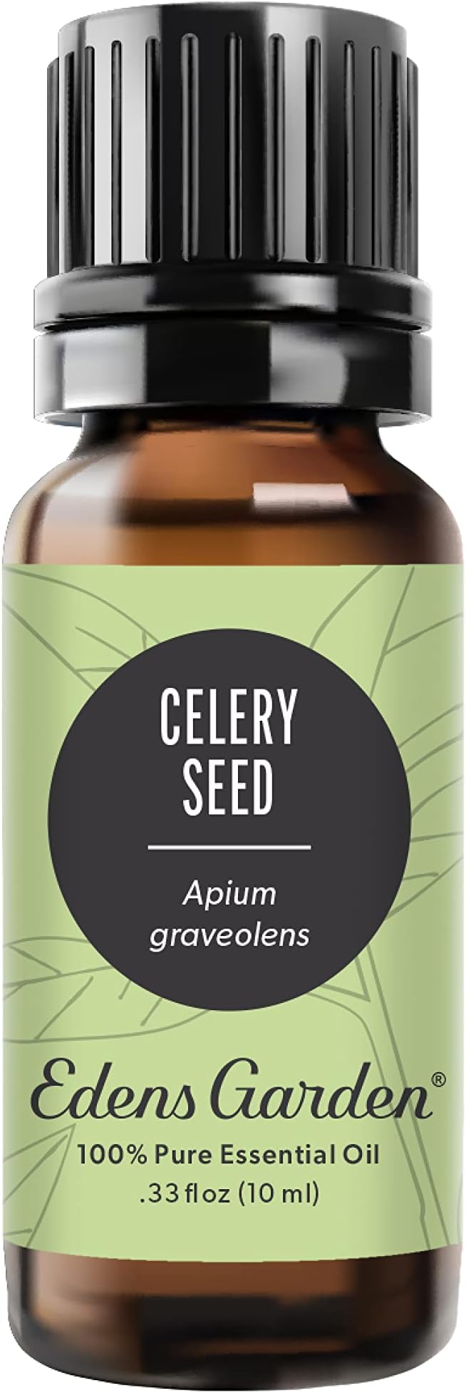 Edens Garden Celery Seed Essential Oil- 100% Pure Premium Grade, Undiluted, Natural, Therapeutic, Aromatherapy, The Best for Diffuser, Skin, Candle, Laundry 10 ml (.33 fl oz)